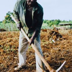 earthpro farms 2